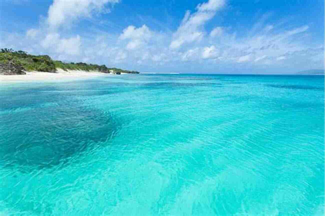 A Beautiful Sandy Beach With Crystal Clear Blue Water 101 Questions About The Seashore Sy Barlowe