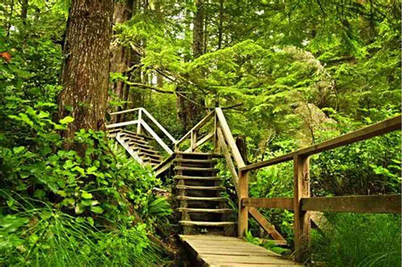 A Breathtaking Hiking Trail Surrounded By Tall Trees And Vibrant Wildflowers Bear Creek Valley (Images Of America)