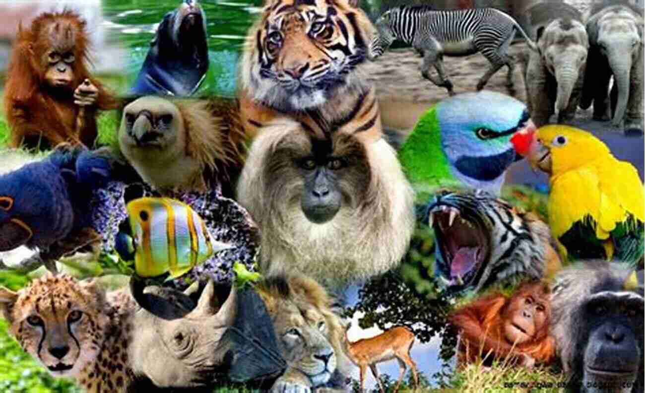 A Collage Of Stunning Rainforest Animals The Rainforest Ecosystem Kids Earth Science Grade 4 Children S Environment