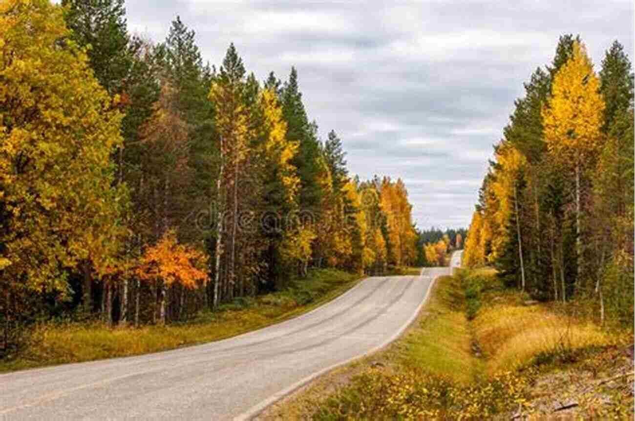 A Colorful Autumn Forest In Lapland Lapland (Bradt Travel Guides) James Proctor