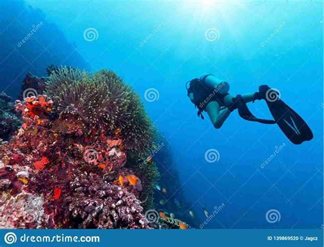 A Diver Exploring A Coral Reef Fantastic Fish Tales Mark Heinz