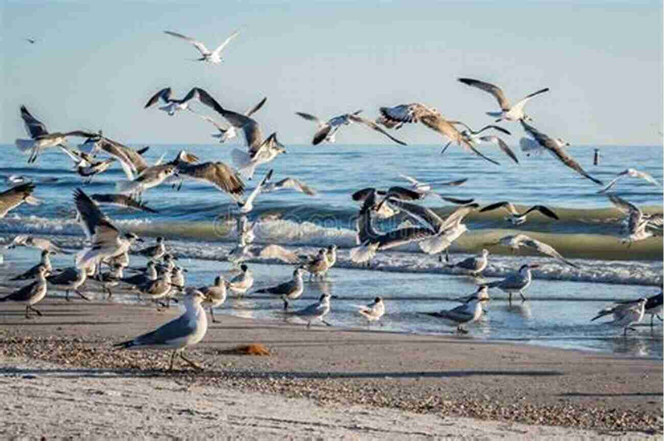 A Flock Of Birds Soaring High Above The Treetops Witness The Beauty Of Life In The Air! A Life In The Air