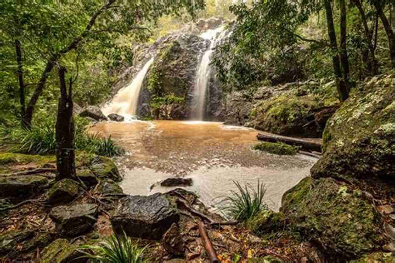 A Hidden Waterfall In The Heart Of Mauritius My Mauritius Paolo Rossetti