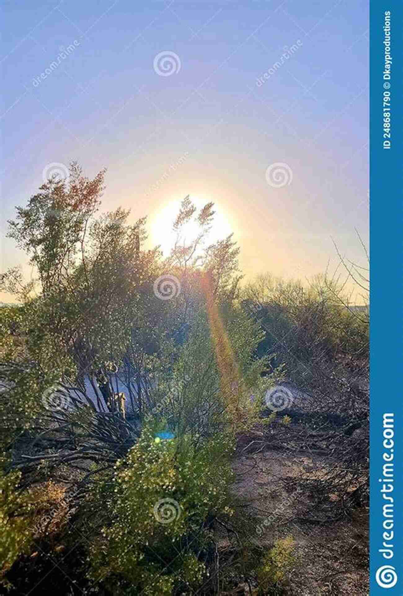 A Magnificent Sunset Casting Vibrant Hues Across Bear Creek Valley Bear Creek Valley (Images Of America)