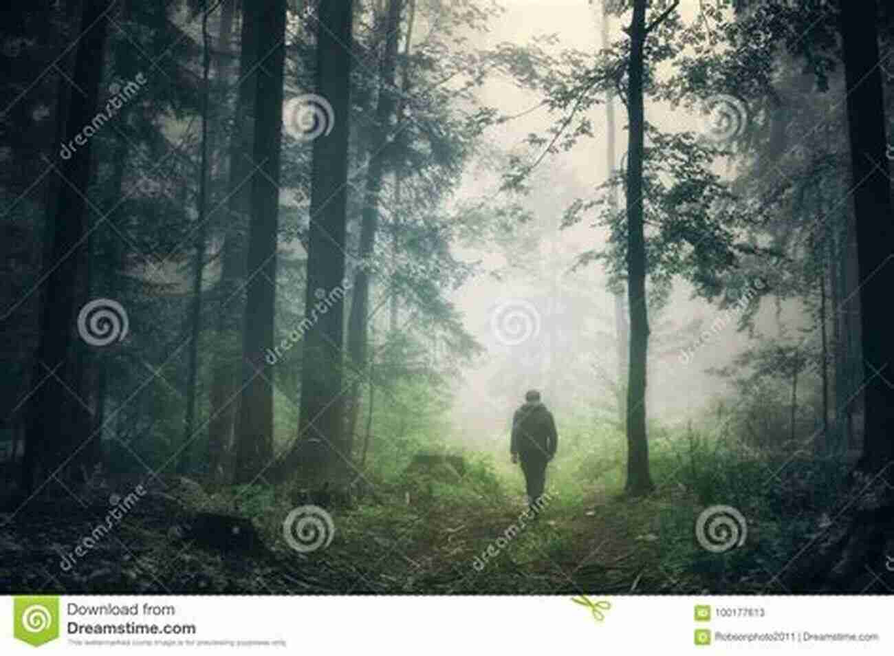 A Person Walking Alone In A Foggy Forest, Representing The Feeling Of Being A Stranger To Oneself A Stranger To Myself: The Inhumanity Of War: Russia 1941 1944