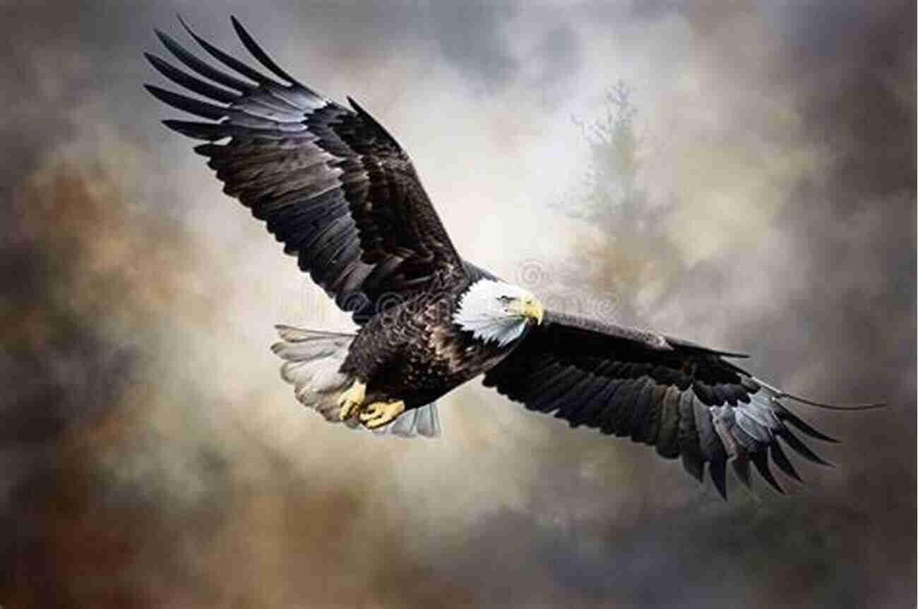 A Powerful Bald Eagle Soaring Through The Sky The World S Most Beautiful Birds Animal For Toddlers Children S Animal