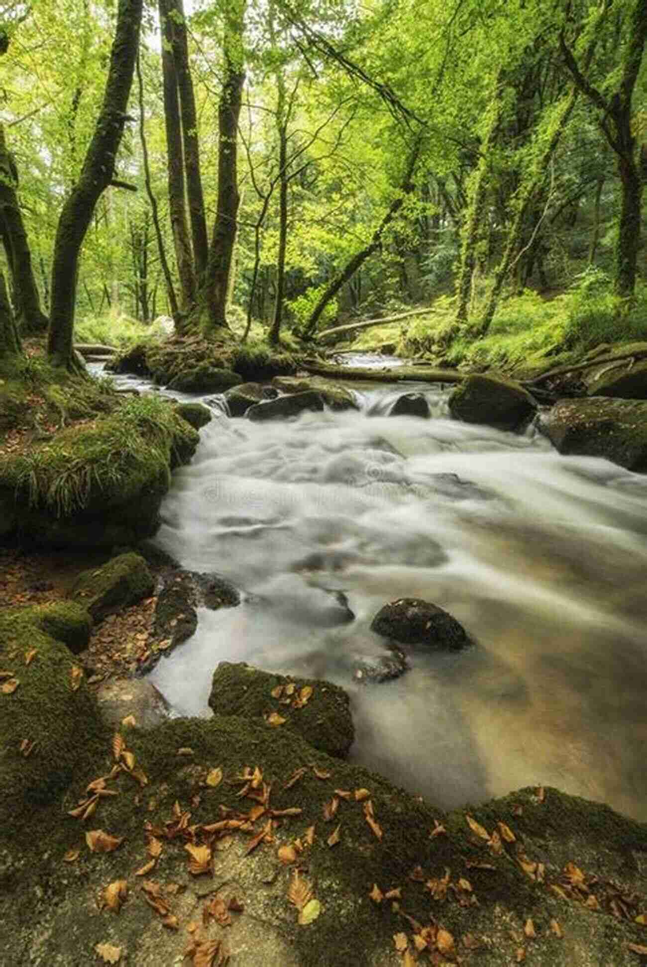 A River Flowing Through A Lush Forest Showcasing The Importance Of Water Resources Wildlife And Natural Resource Management