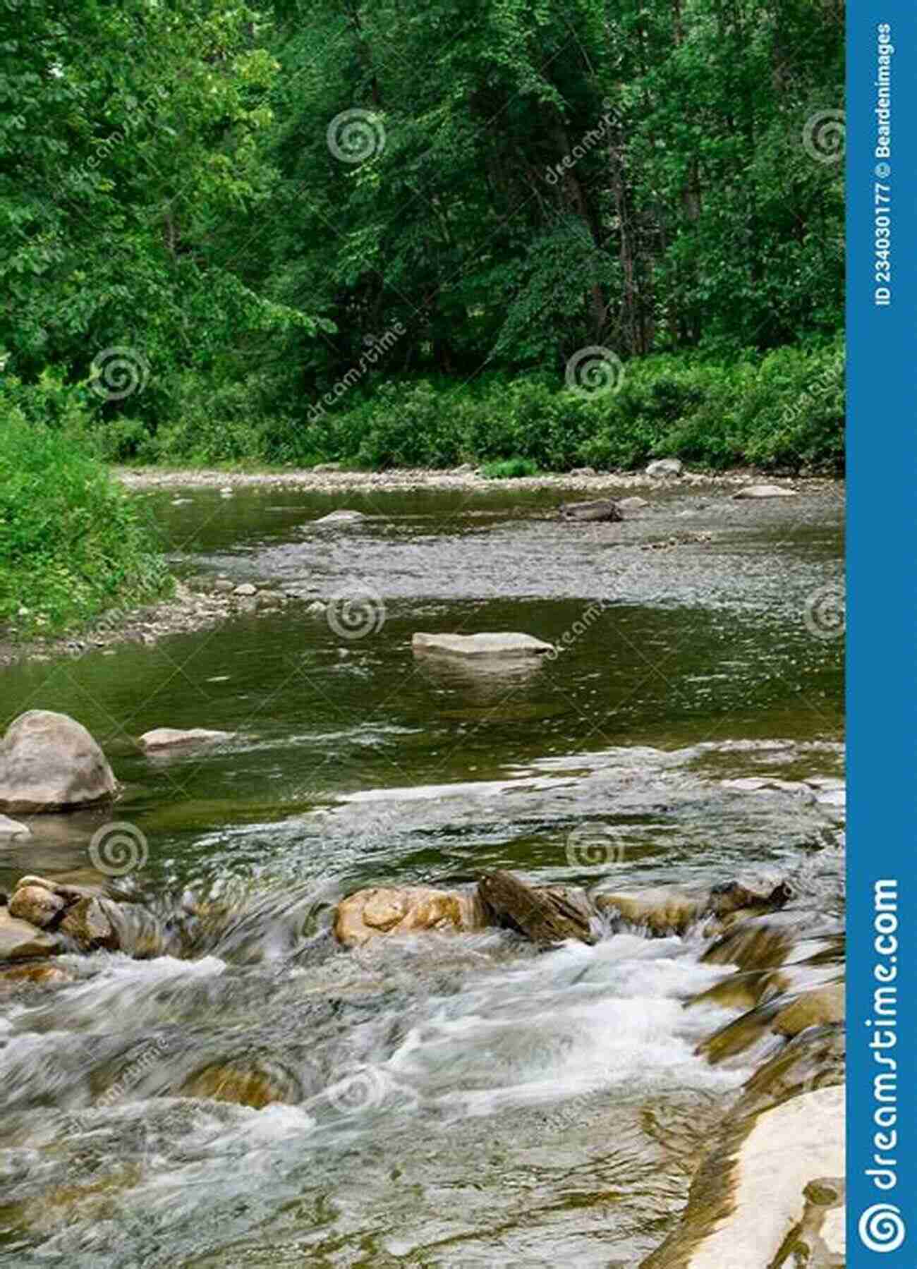 A Serene River Flowing Through A Lush Rainforest The Rainforest Ecosystem Kids Earth Science Grade 4 Children S Environment