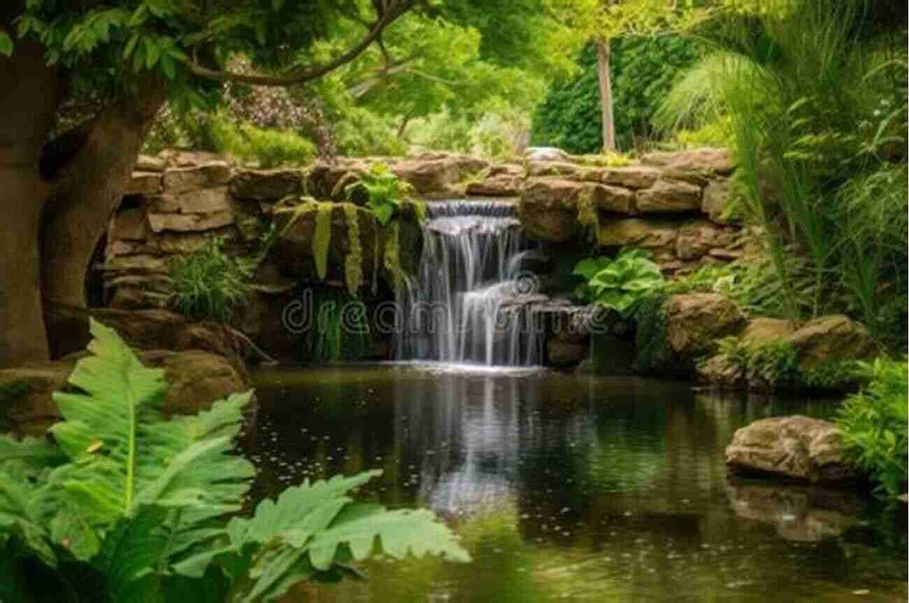 A Serene Waterfall Streaming Through The Lush Greenery Of Bear Creek Valley Bear Creek Valley (Images Of America)