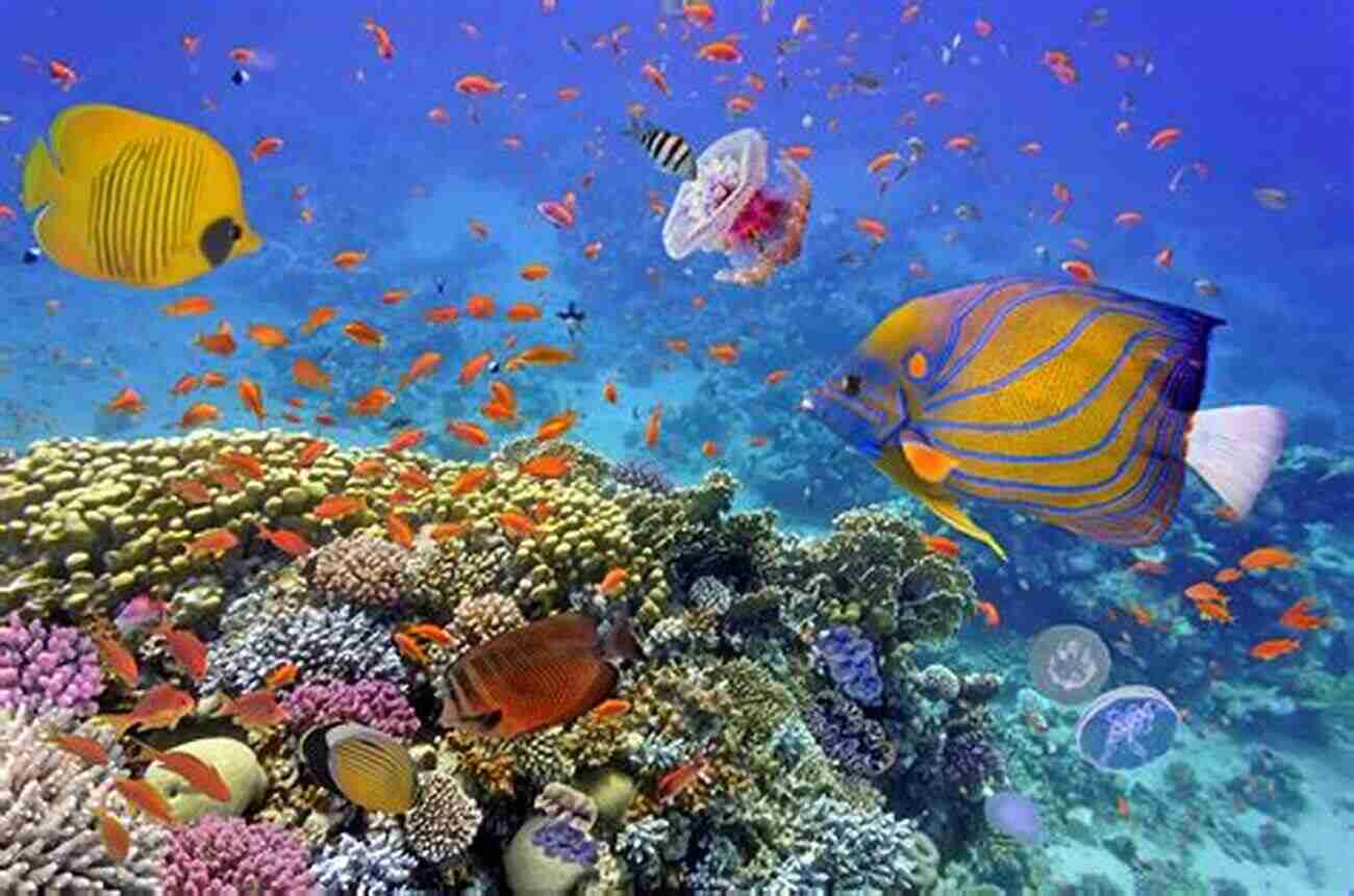 A Stunning Coral Reef Teeming With Life Fantastic Fish Tales Mark Heinz