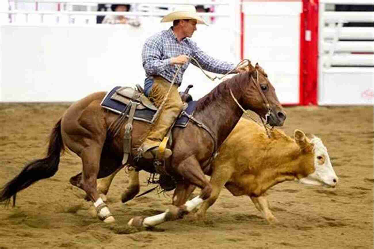 A Working Cow Horse Competing In A Show 101 Ranch Horse Tips: Techniques For Training The Working Cow Horse (101 Tips)