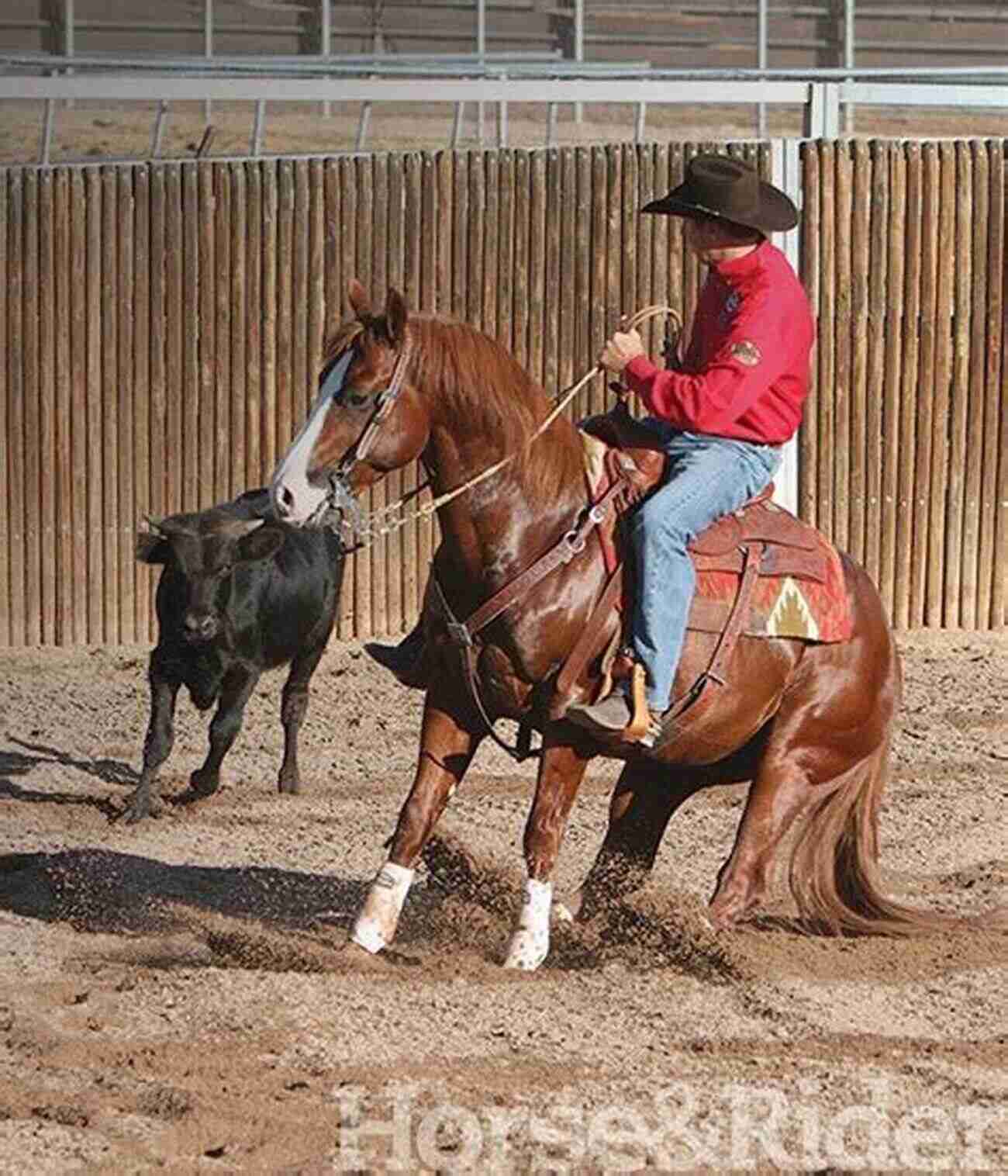 A Working Cow Horse Demonstrating A Quick Stop 101 Ranch Horse Tips: Techniques For Training The Working Cow Horse (101 Tips)