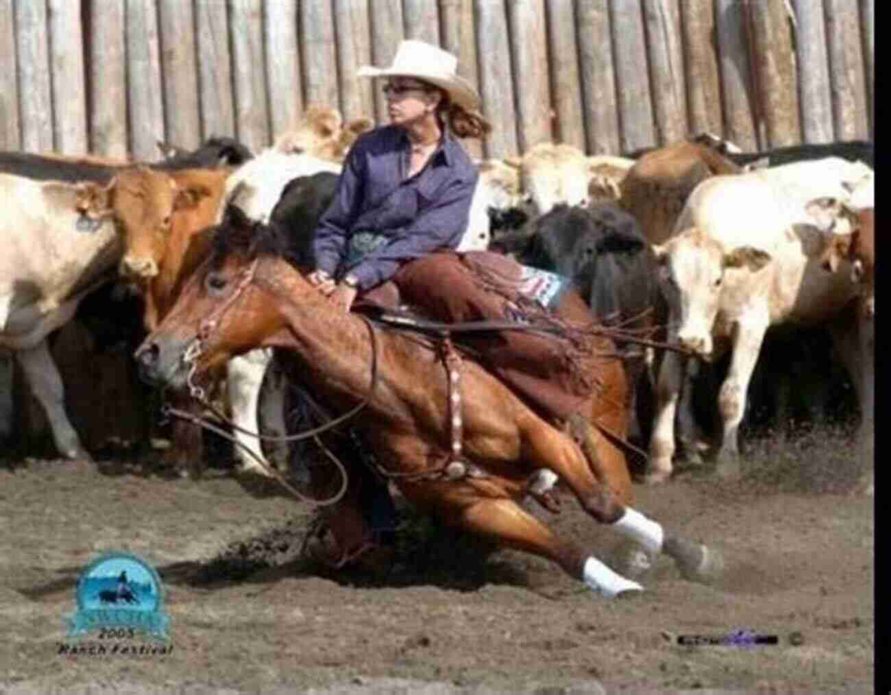 A Working Cow Horse Moving Swiftly In An Arena 101 Ranch Horse Tips: Techniques For Training The Working Cow Horse (101 Tips)