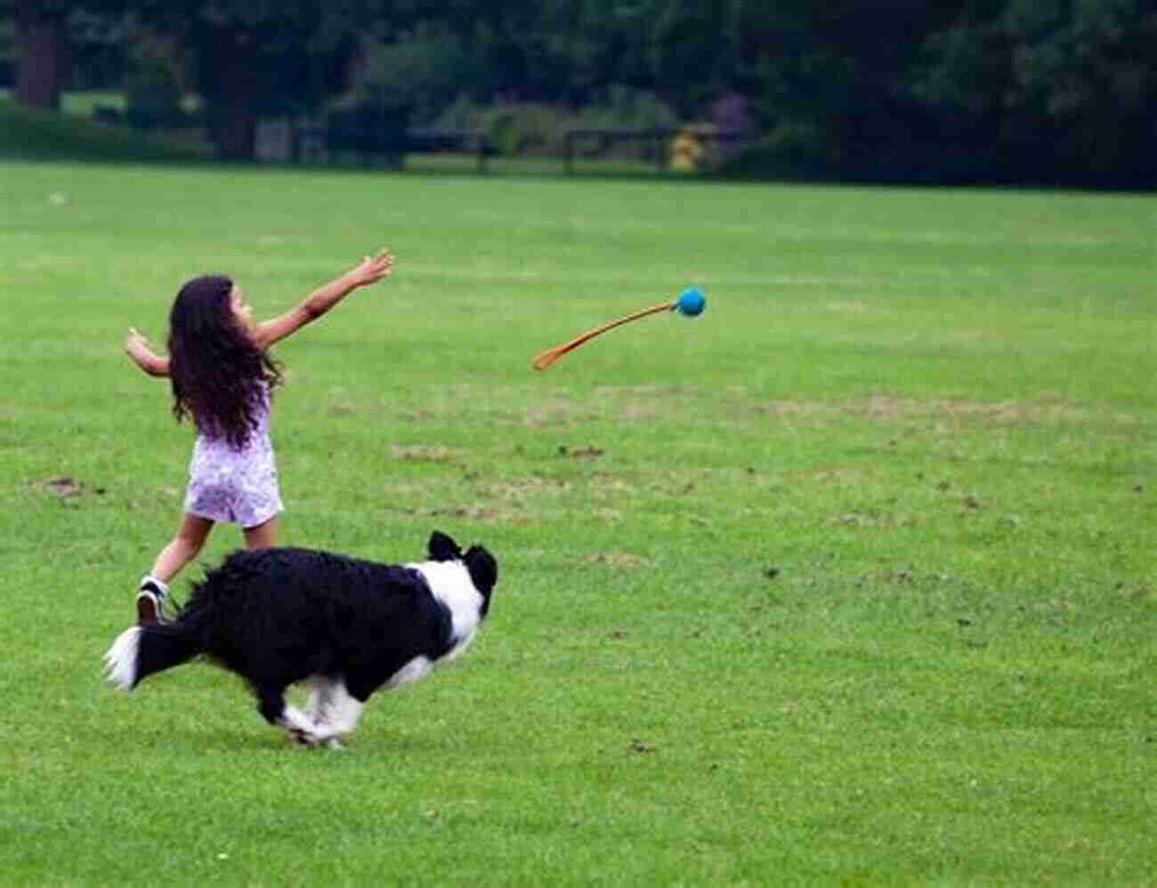 Adorable Chessie Puppy Playing Fetch In The Park The Complete Guide To Chesapeake Bay Retrievers: Training Socializing Feeding Exercising Caring For And Loving Your New Chessie Puppy