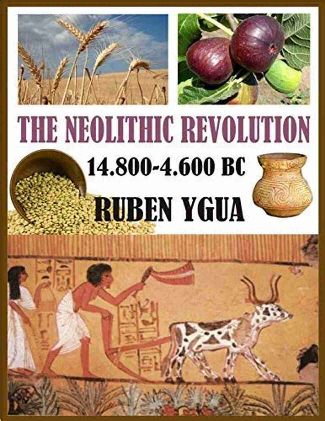 Agricultural Advancements In The Neolithic Revolution By Ruben Ygua THE NEOLITHIC REVOLUTION Ruben Ygua