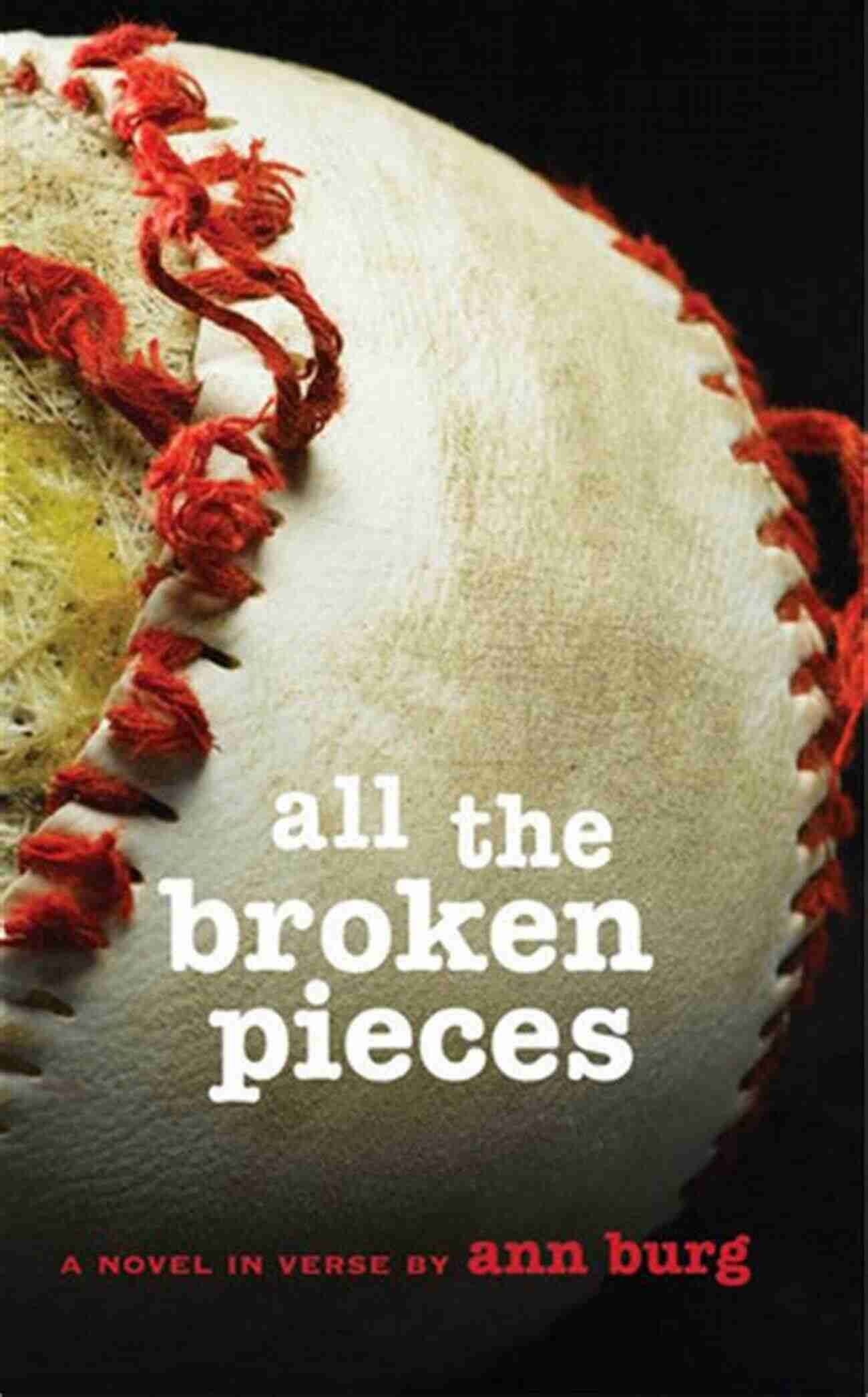 All The Broken Pieces By Ann Burg All The Broken Pieces Ann E Burg