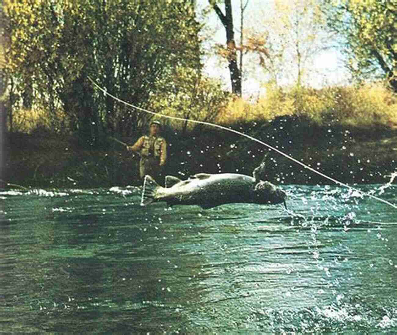 American Sportsman Fly Fishing In A River Zipping My Fly: Moments In The Life Of An American Sportsman