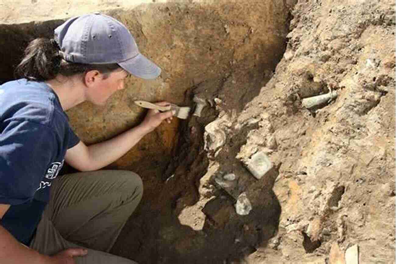 Archaeologist Excavating Artifacts On California's Northern Channel Islands Islands Through Time: A Human And Ecological History Of California S Northern Channel Islands