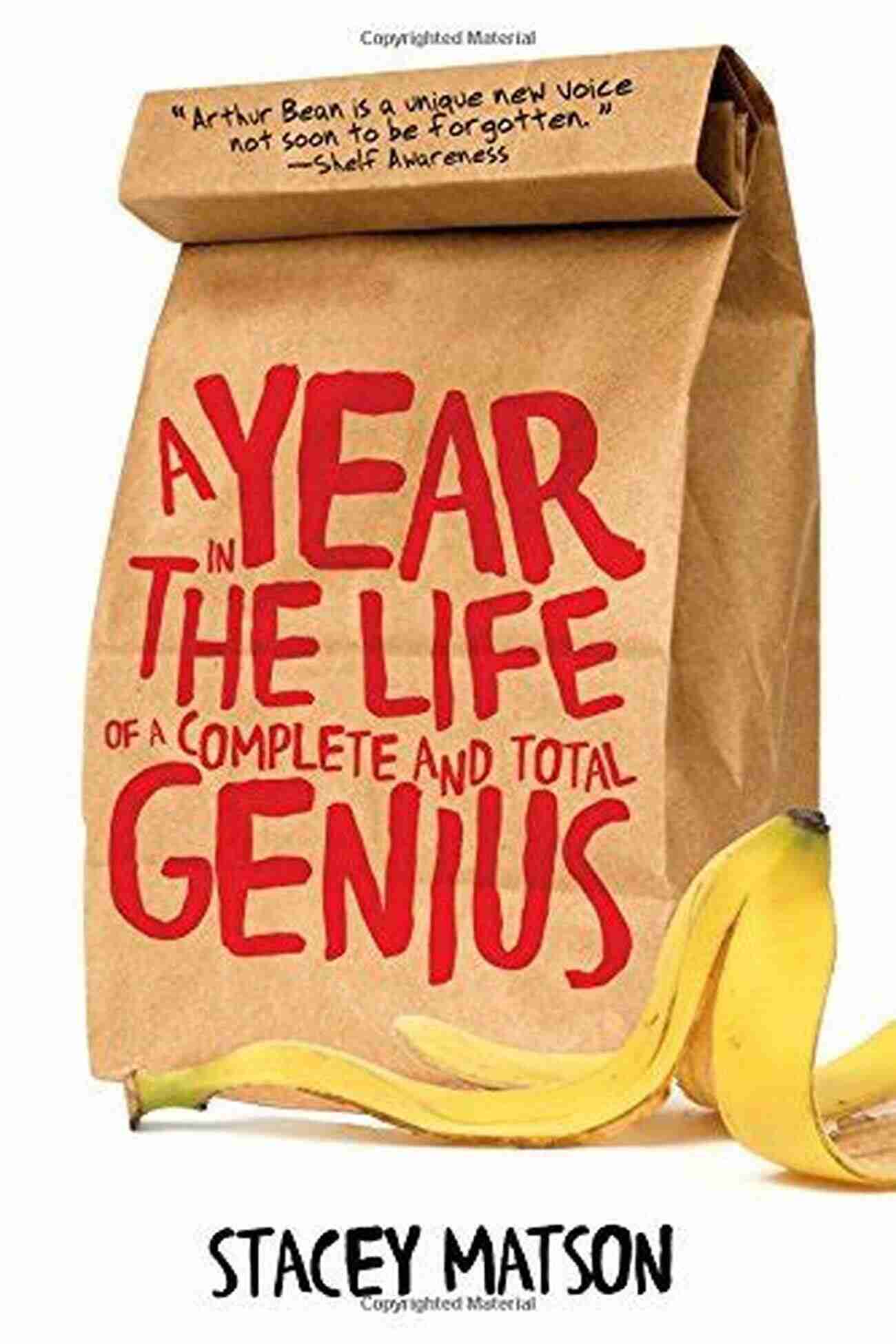 Arthur's Artwork A Year In The Life Of A Complete And Total Genius (The Arthur Bean Stories 0)