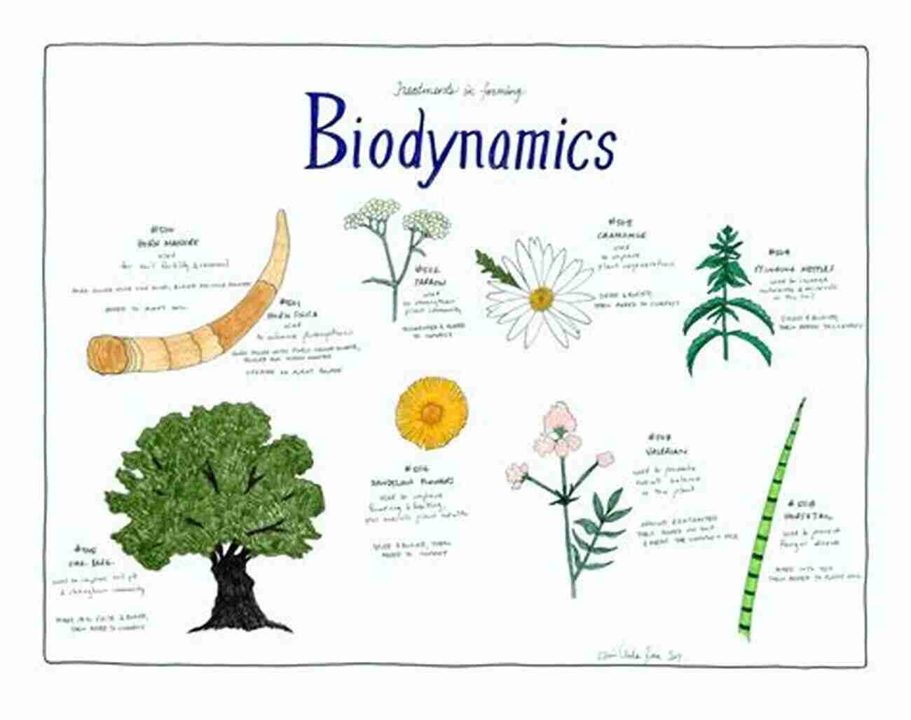 Biodynamic Crops What Is Biodynamics? Jan Latta