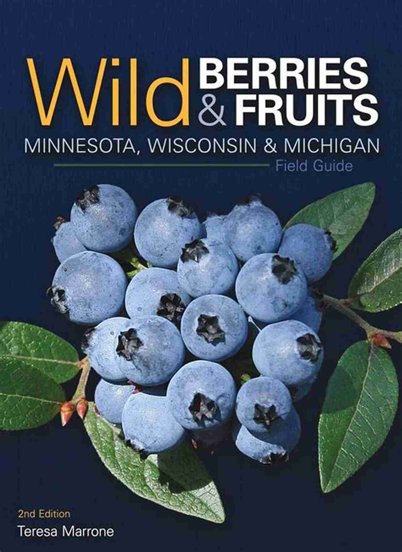 Blueberries In Minnesota Wild Berries Fruits Field Guide Of Minnesota Wisconsin Michigan (Wild Berries Fruits Identification Guides)