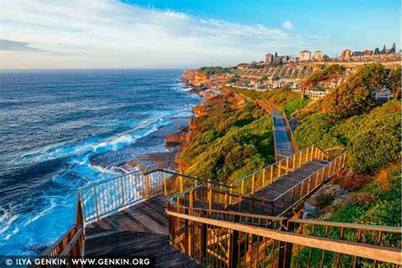 Bondi To Coogee Coastal Walk Living Guide For Sydney: All The Information You Need To Know About Living In And Moving To Sydney