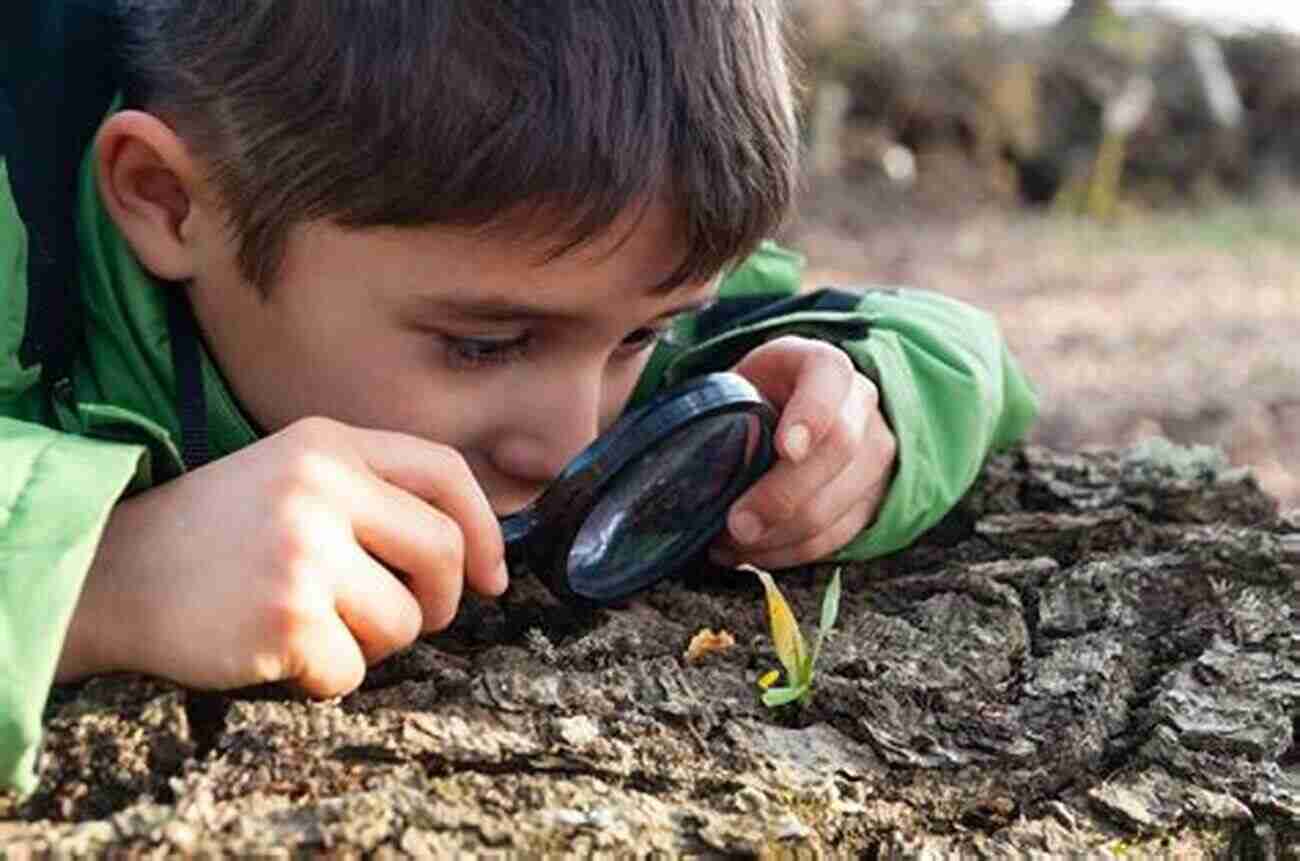 Boys Exploring Nature And Learning Raising Boys In A New Kind Of World