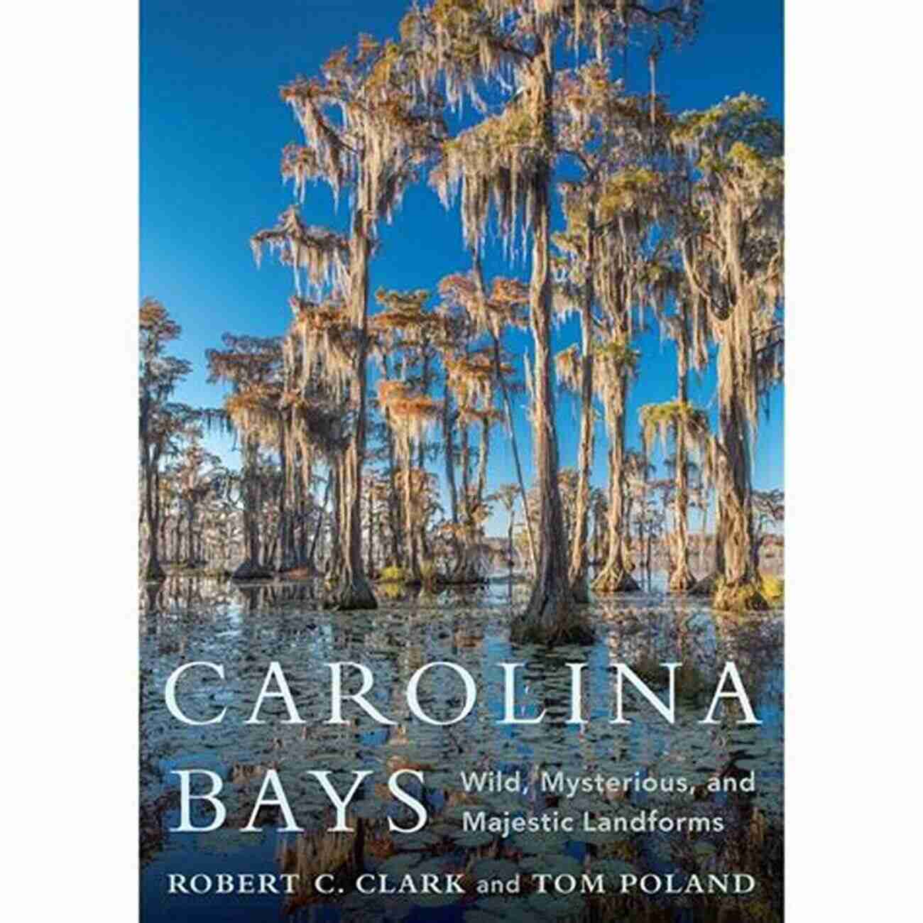 Carolina Bays Landscape Wild, Mysterious, Majestic Landforms Carolina Bays: Wild Mysterious And Majestic Landforms