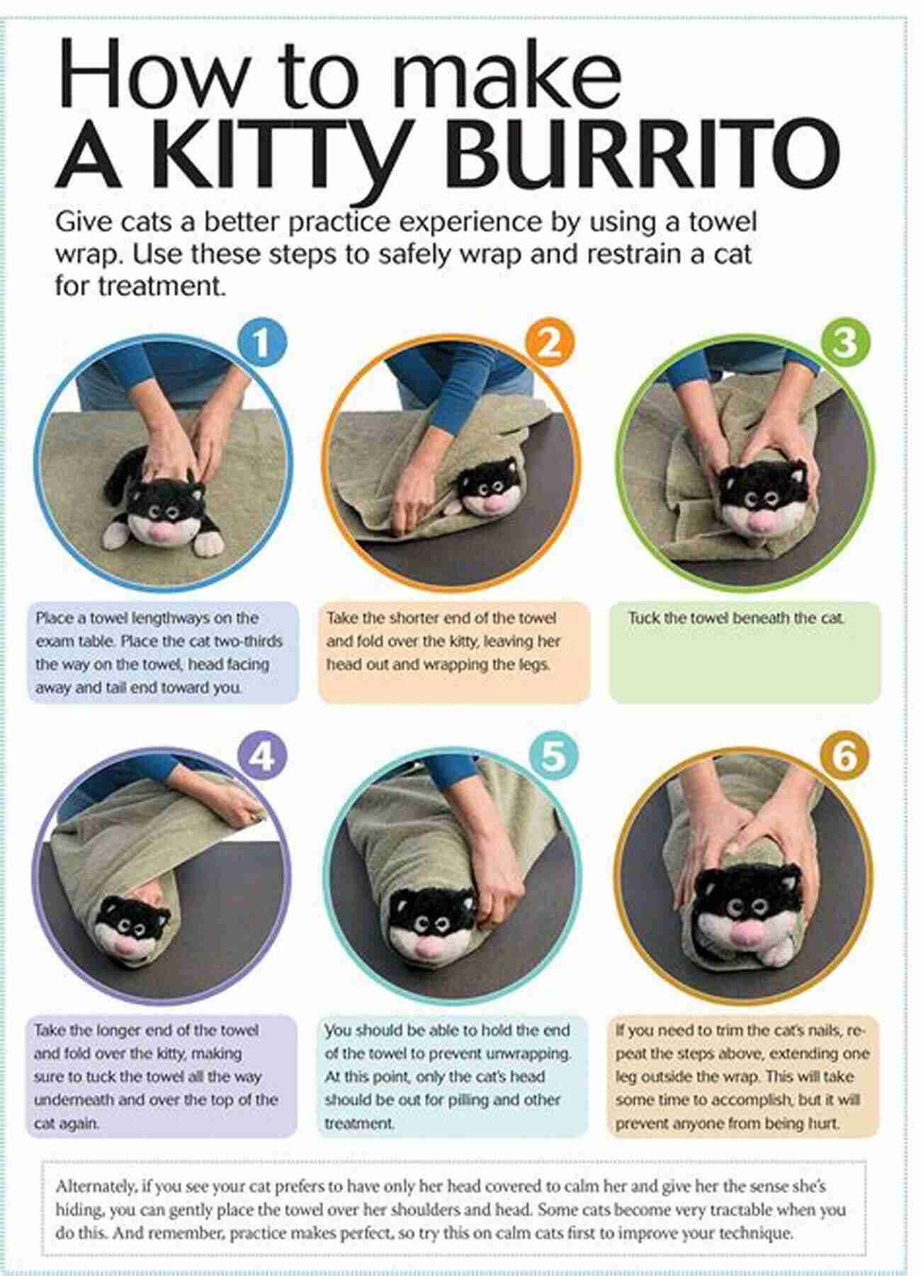 Cat Training Techniques A Step By Step Guide How To Train A House Cat Book: Cat Training Techniques In Ten Minutes For Adults And Kids + Potty Training