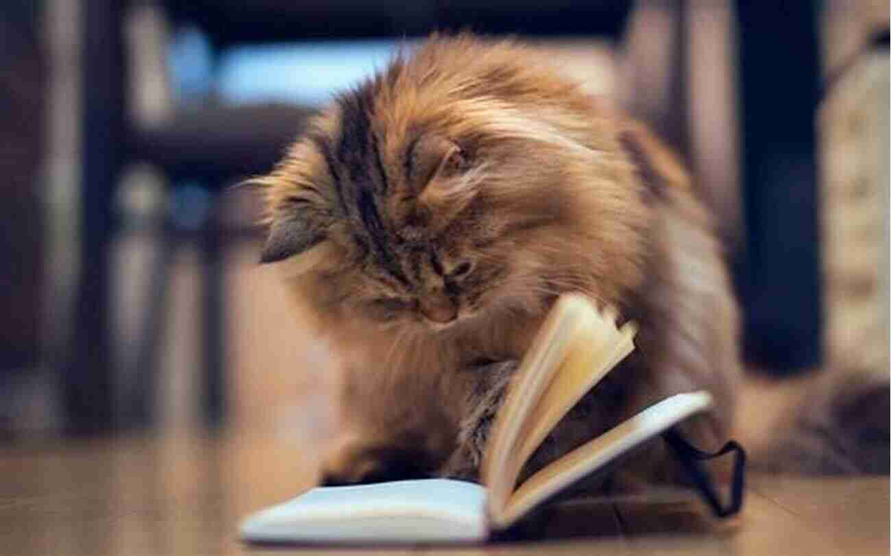 Cat Reading A Book Truth Or Lie: Cats (Step Into Reading)