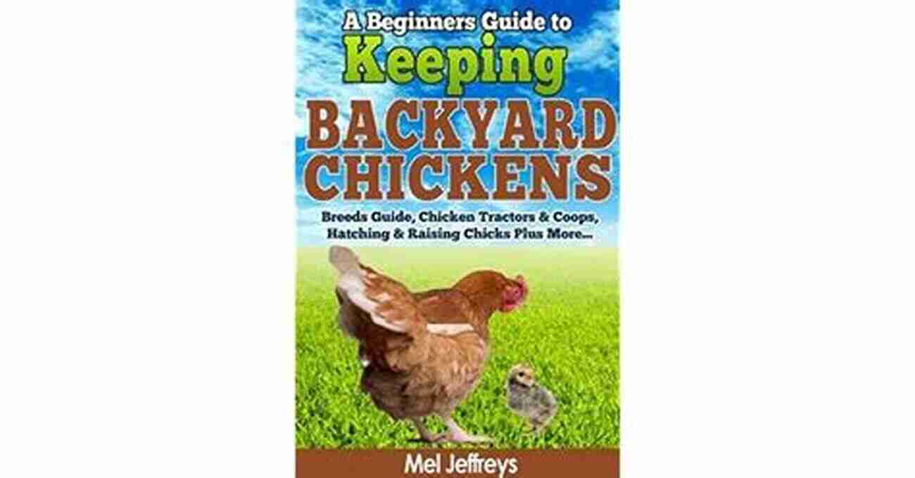 Chicken Breeds A Beginners Guide To Keeping Backyard Chickens Breeds Guide Chicken Tractors Coops Hatching Raising Chicks Plus More (Simple Living)