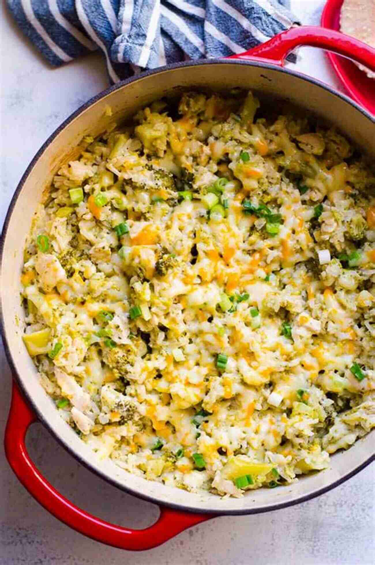 Chicken And Rice Casserole Homemade Dog Food Recipes: 20 Healthy And Delicious Meals For Your Favourite Pet