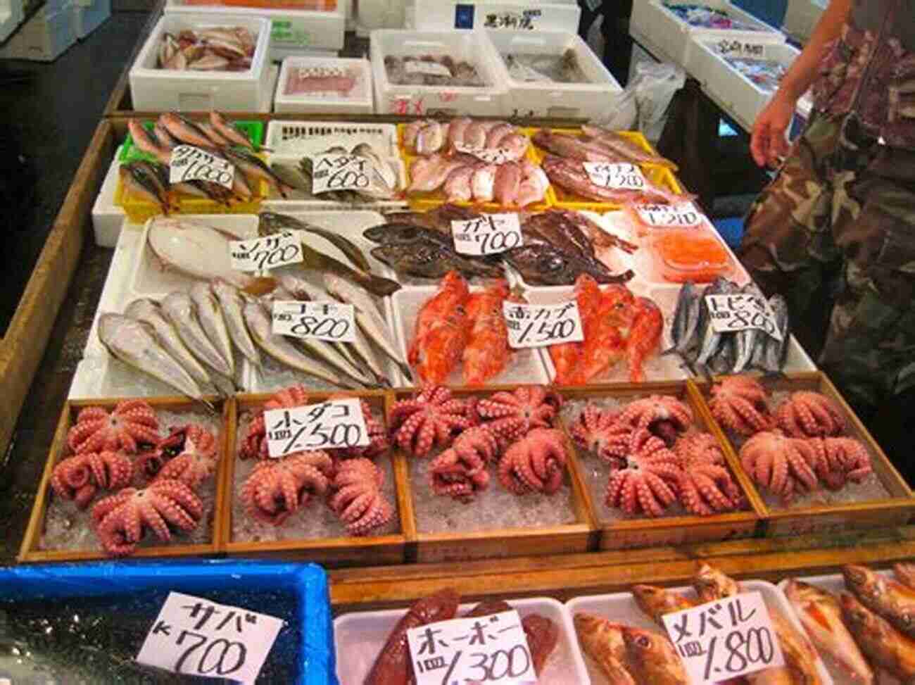 Colorful Display Of Fresh Seafood At Tsukiji Fish Market In Tokyo Japan Overseas Publication No 13: Feature Japan Tourism Photos