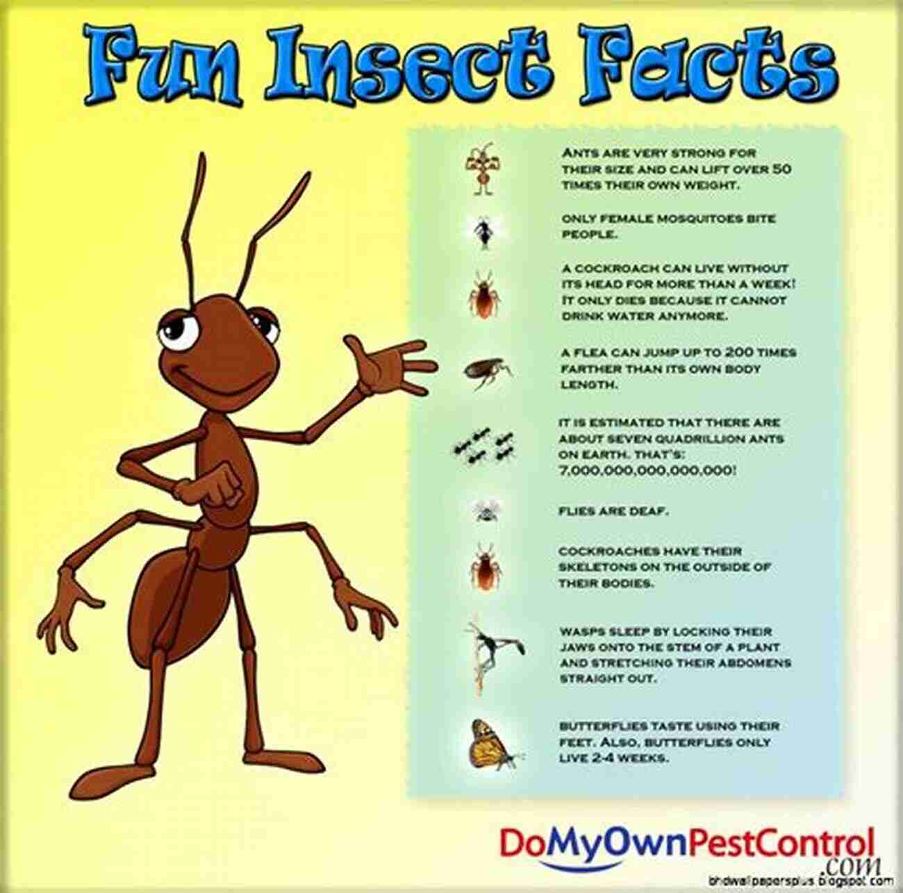 Coloring And Picture With Amazing Bug Facts SHEEPY KNOWS BUGS: COLORING AND PICTURE WITH AMAZING BUG FACTS FOR AGES 3 TO 5