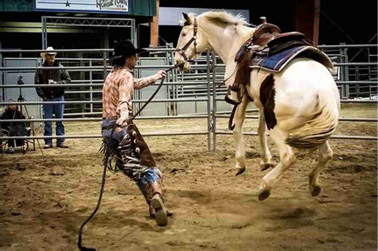 Colt Starting Training Day One The Colt Starting Horse Training And Riding Manual Complete Training Day 1 Through 2+ Years