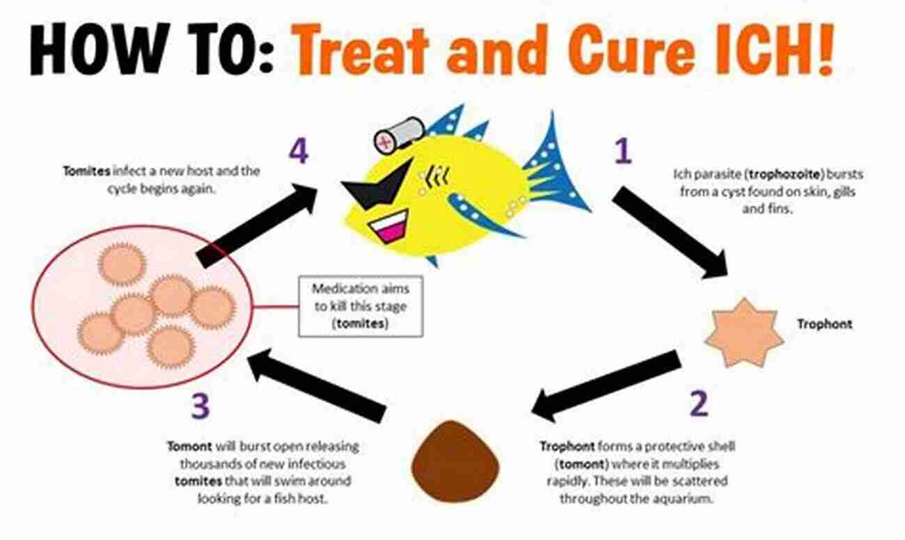 Common Signs Of Ich: White Spots On Fish Super Simple Guide To Common Fish Diseases