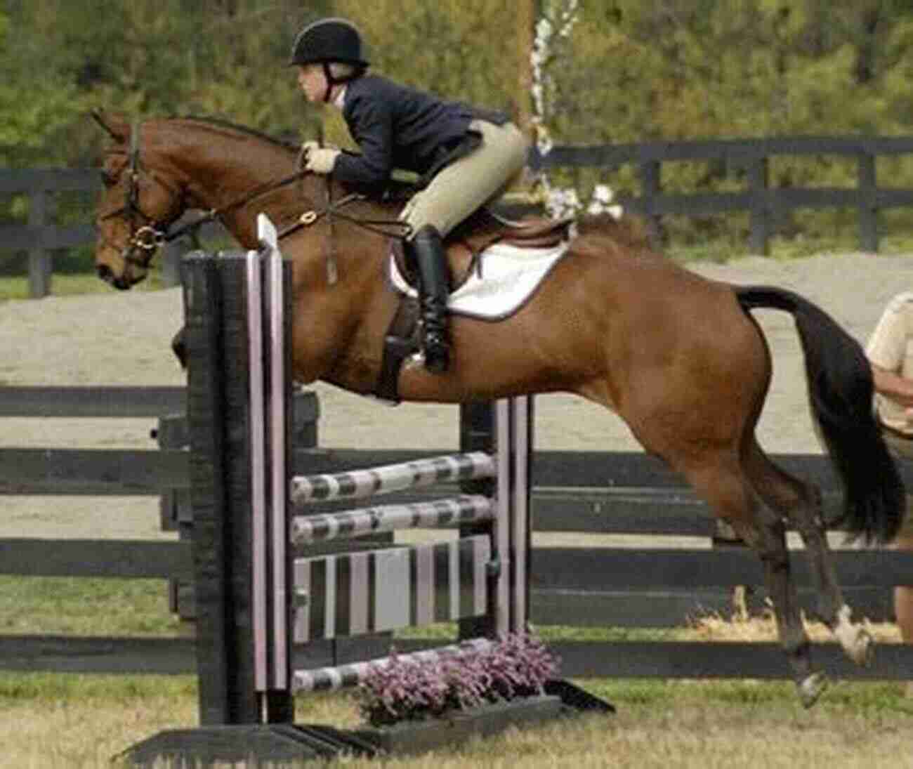 Competitive Hunter Riding Gracefully Over A Fence Judging Hunters And Hunter Seat Equitation