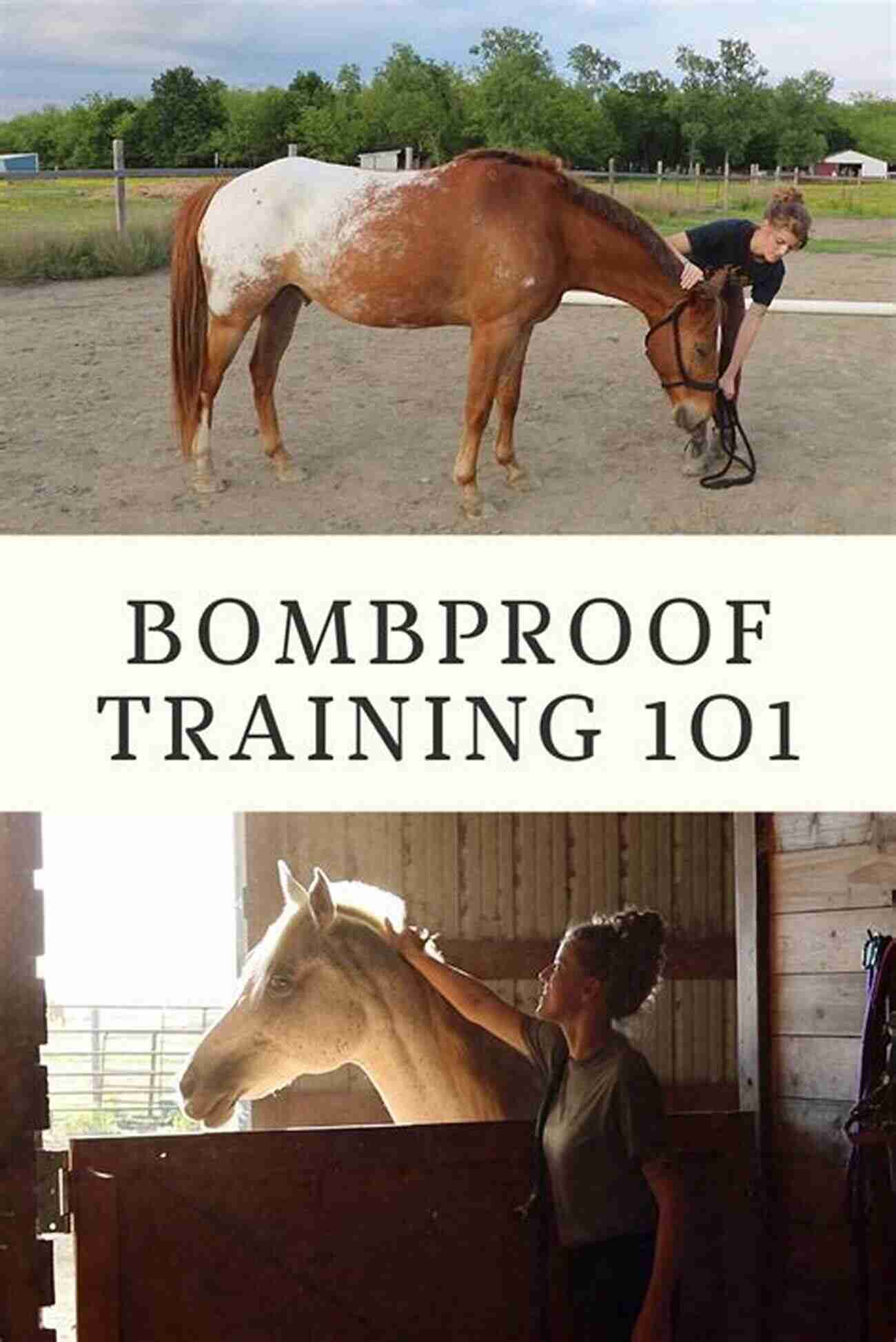 Complete Guide On Training And Riding Horses The Colt Starting Horse Training And Riding Manual Complete Training Day 1 Through 2+ Years