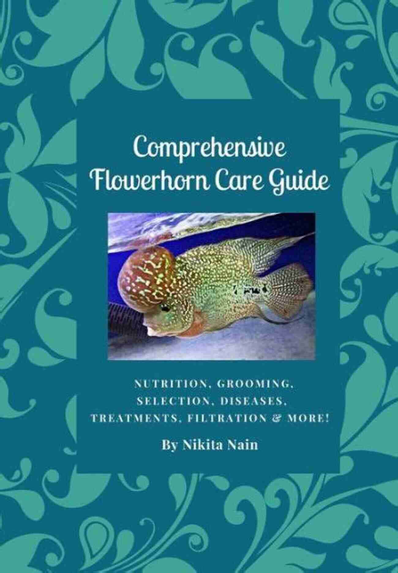 Comprehensive Flowerhorn Care Guide Nikita Nain Comprehensive Flowerhorn Care Guide Nikita Nain