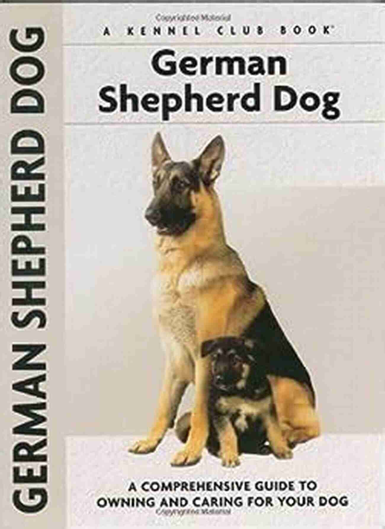 Comprehensive Guide To Owning And Caring For Your Dog Comprehensive Owner Guide Shetland Sheepdog: A Comprehensive Guide To Owning And Caring For Your Dog (Comprehensive Owner S Guide)