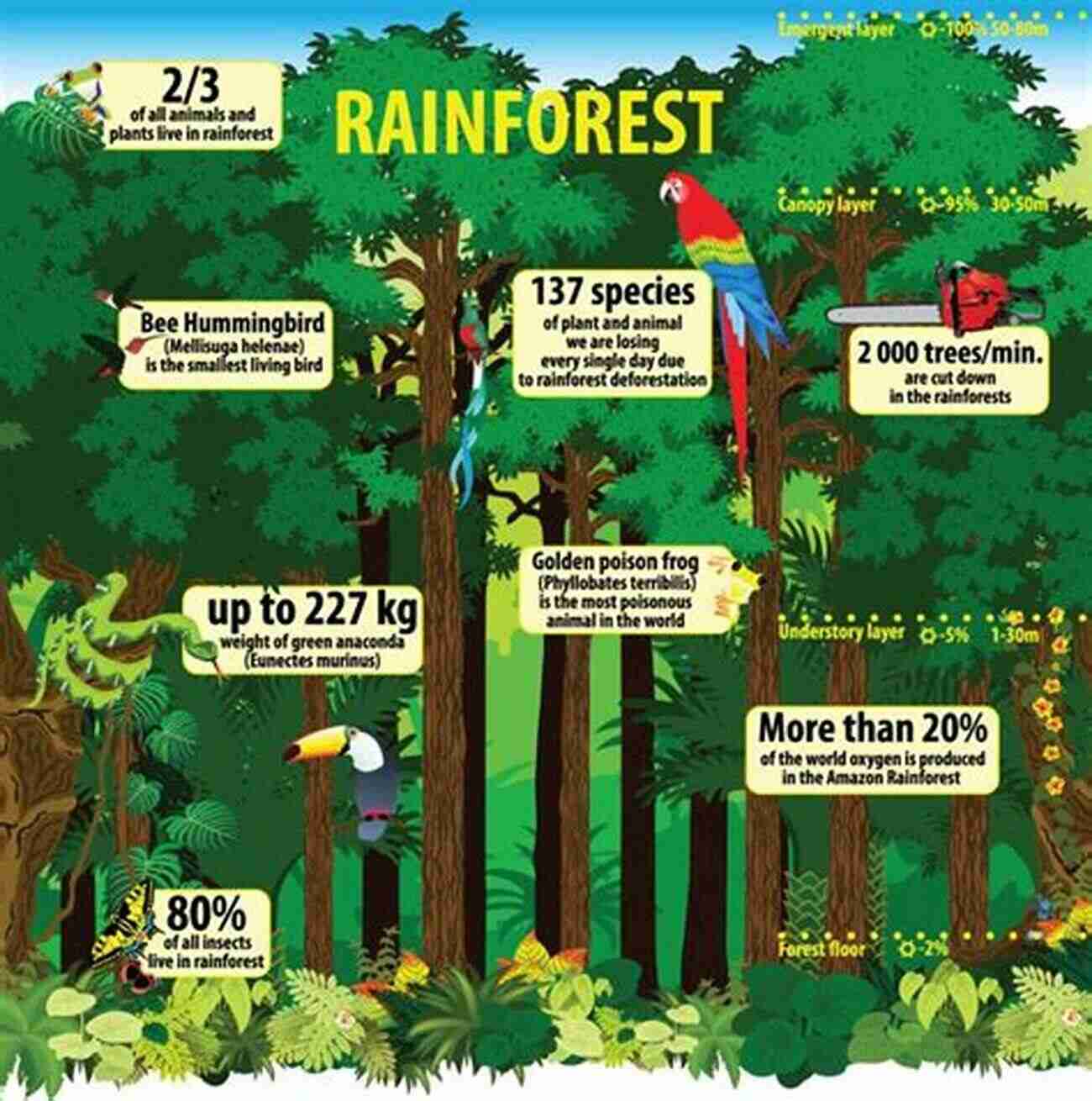 Deforestation Image Showcasing The Importance Of Rainforests The Rainforest Ecosystem Kids Earth Science Grade 4 Children S Environment