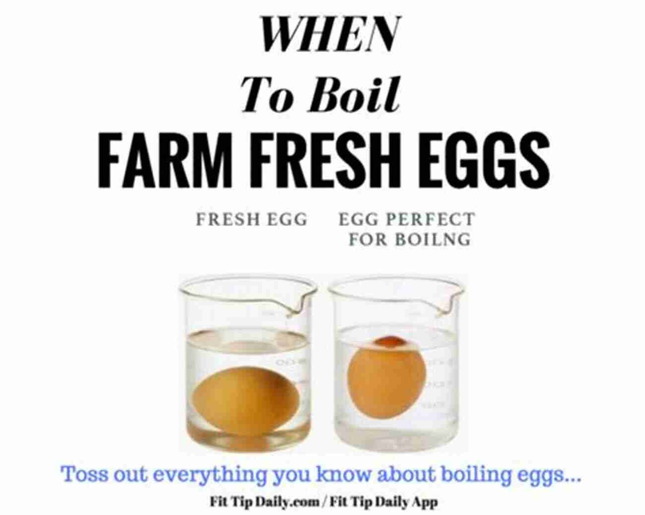 Delicious Fresh Eggs: A Rewarding Outcome Backyard Chickens: Join The Fun Of Raising Chickens Coop Building And Delicious Fresh Eggs (Hint: Keep Your Girls Happy ) (Chicken 1)