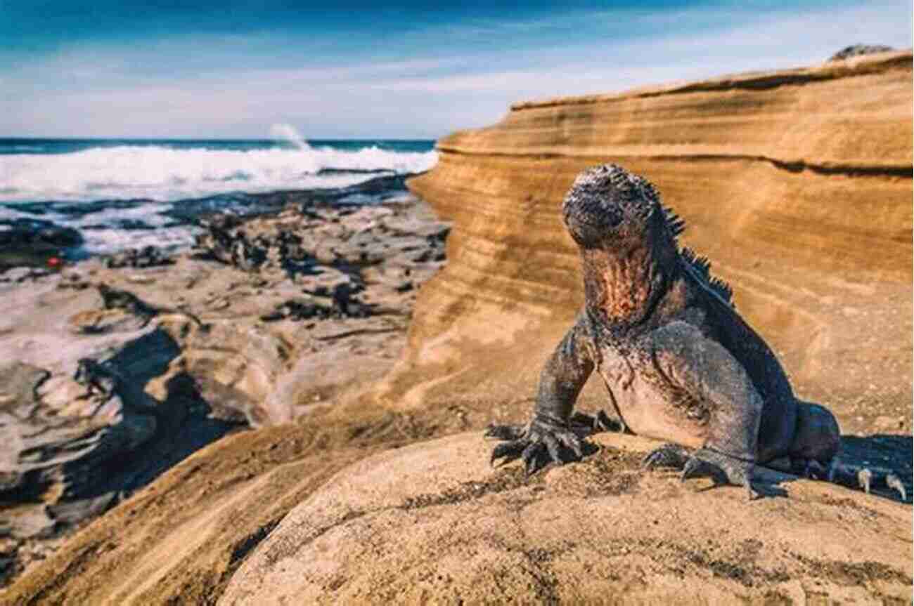 Discover The Wonders Of The Galapagos Islands Hey Kids Let S Visit New York City: Fun Facts And Amazing Discoveries For Kids (Hey Kids Let S Visit Travel #3)