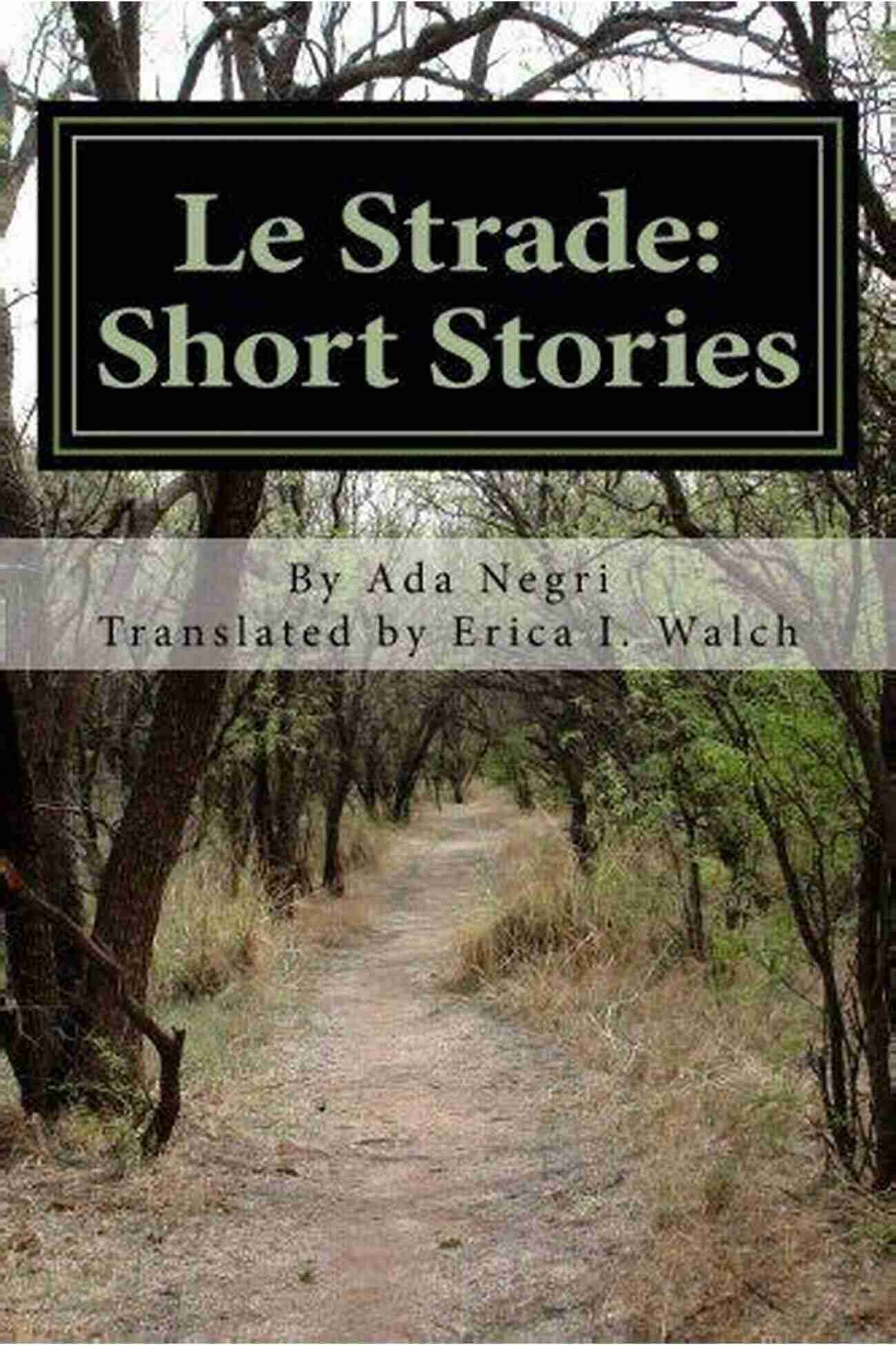 Diverse Worlds Of Le Strade Short Stories Le Strade: Short Stories Eamonn Henry