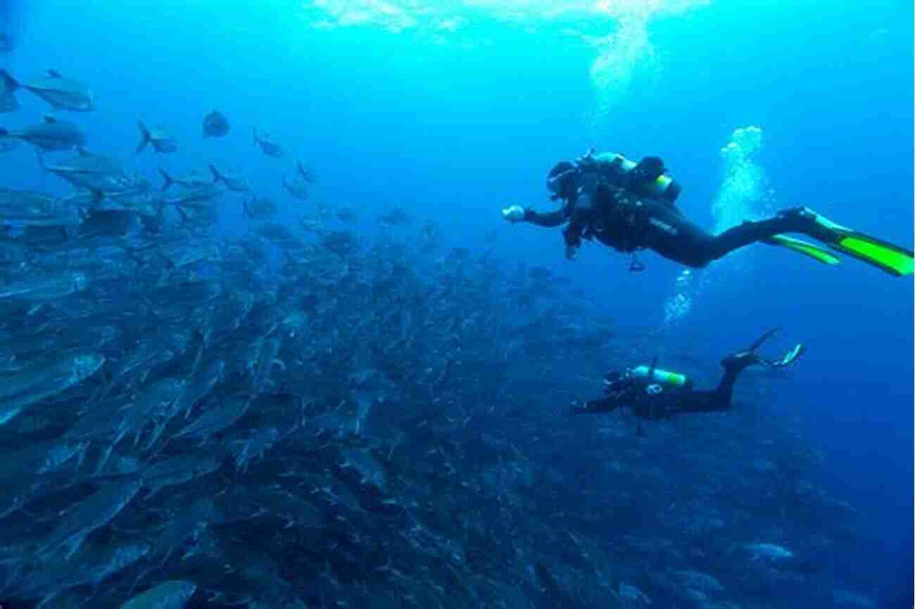 Diving In Coco Island Where To Scuba: Vietnam Revealed: 5 Hidden Scuba Sites Exposed And How To Get There