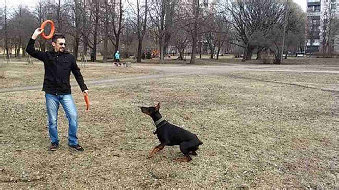 Dobermann Exercising In A Park Dobermanns: A Practical Guide For Owners And Breeders