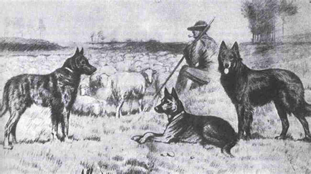 Dog History Of The World A Dog S History Of The World: Canines And The Domestication Of Humans