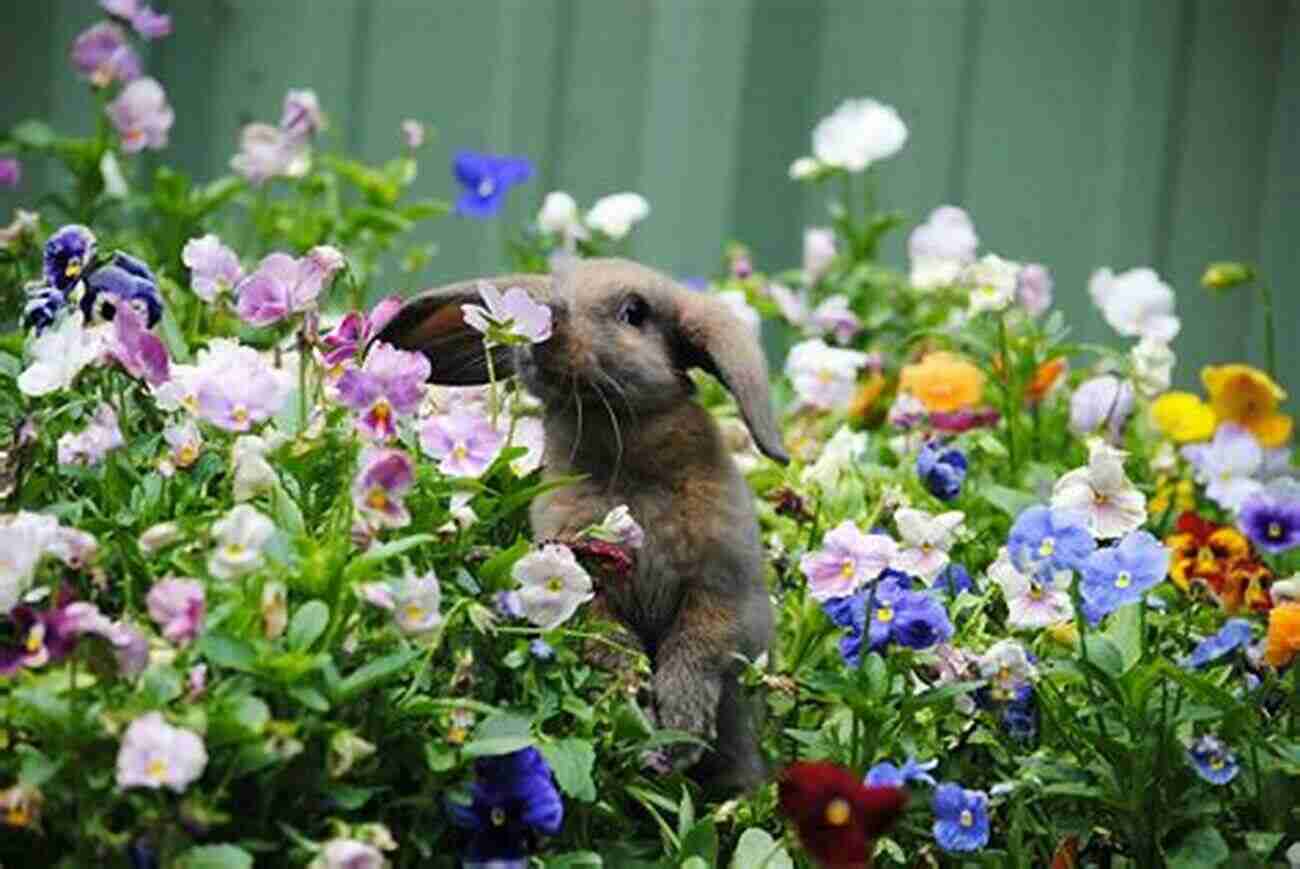 Dog And Rabbit Sniffing Flowers In A Garden A Dog And A Rabbit