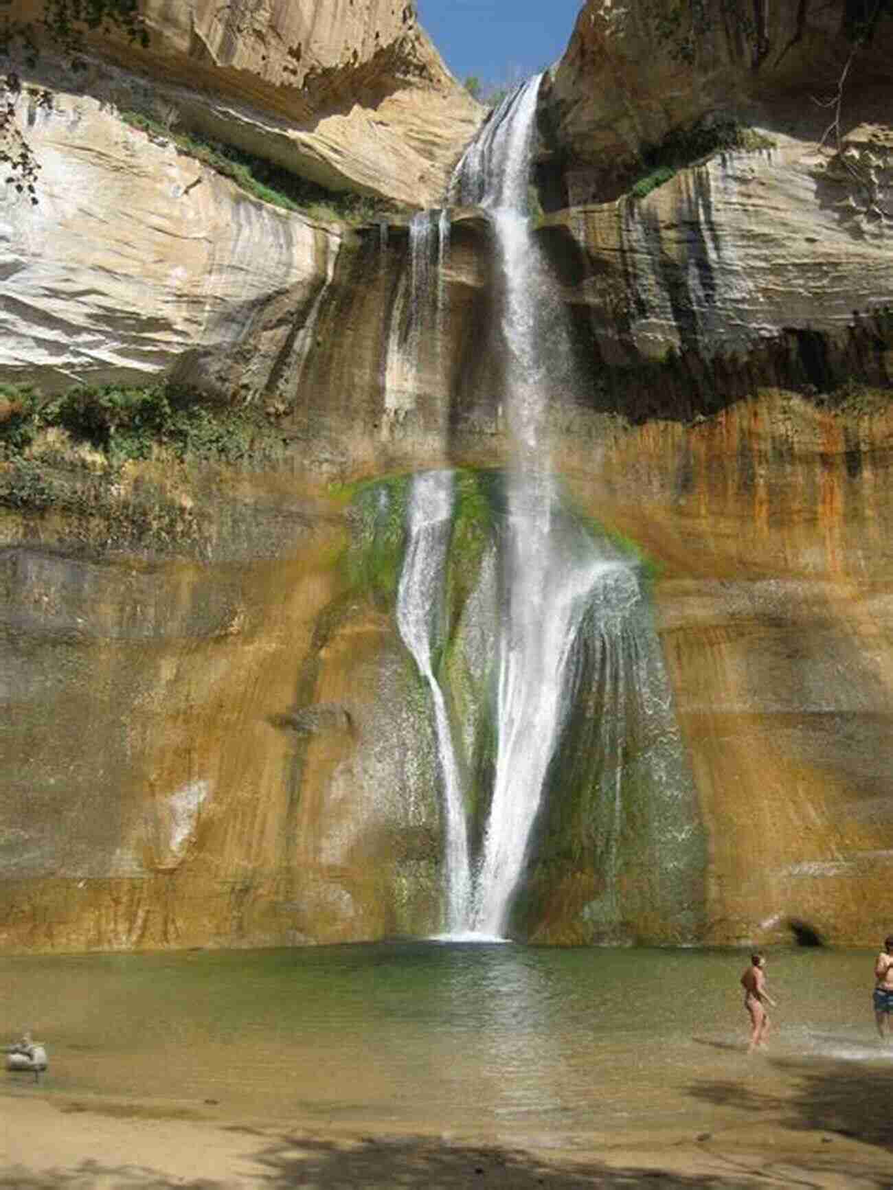 Dogs Playing In The Water At Lower Calf Creek Falls Best Dog Hikes Utah Nathan Ryder