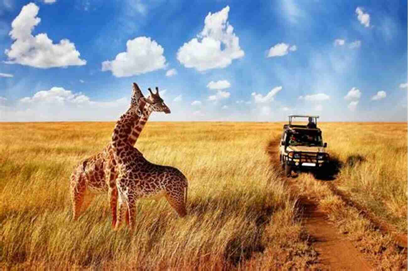 Embark On A Thrilling Safari Adventure In Tanzania Travelogues: Cuba Iceland Madagascar Tanzania